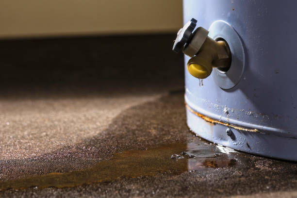 Best Water damage restoration near me  in Ste Genevieve, MO
