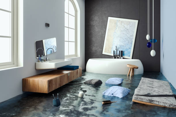Best Carpet water damage restoration  in Ste Genevieve, MO