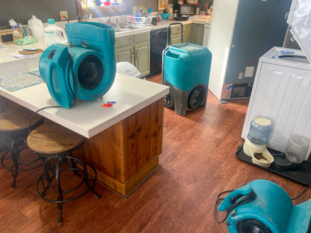 Best Residential water damage restoration  in Ste Genevieve, MO