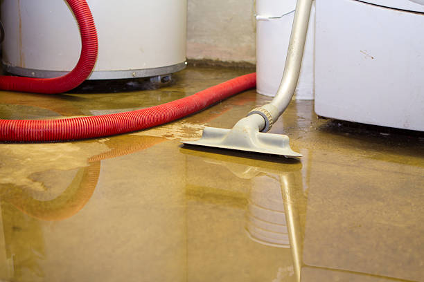 Best Flood restoration services  in Ste Genevieve, MO